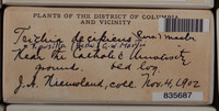Image Associated With the Occurence